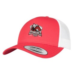 Casquette écureuils